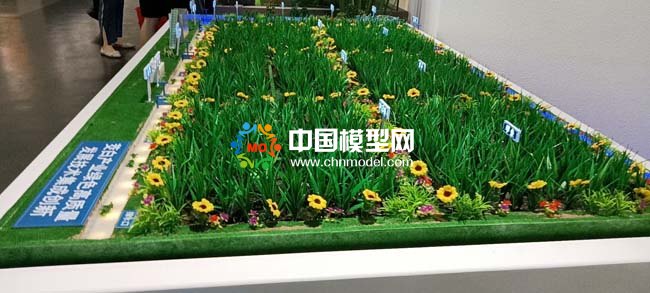 茭白產業(yè)種植基地沙盤模型